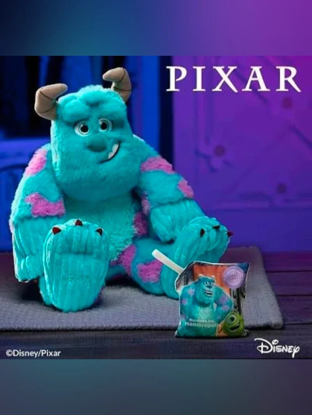 Monsters Inc. Sulley & Mike Wazowski Buddy BUNDLE • Retired BNI